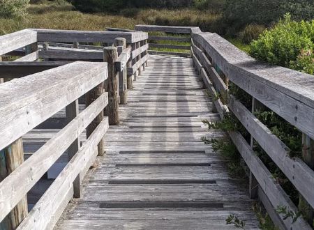 Waxmyrtle Campground