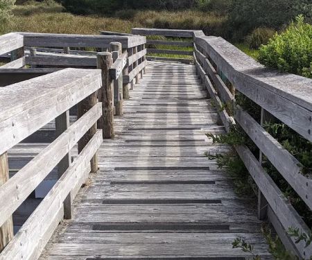 Waxmyrtle Campground