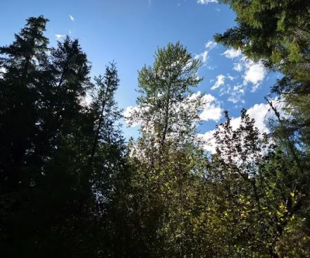 Sand Prairie Campground