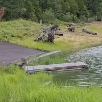 Packard Creek Campground ico