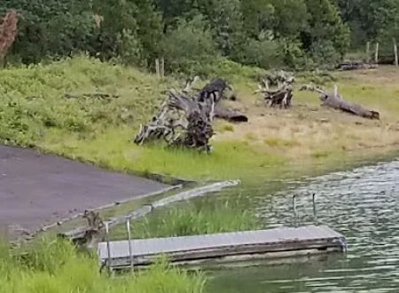 Packard Creek Campground