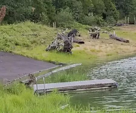 Packard Creek Campground
