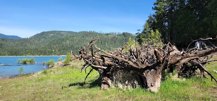 Packard Creek Campground Picture 9