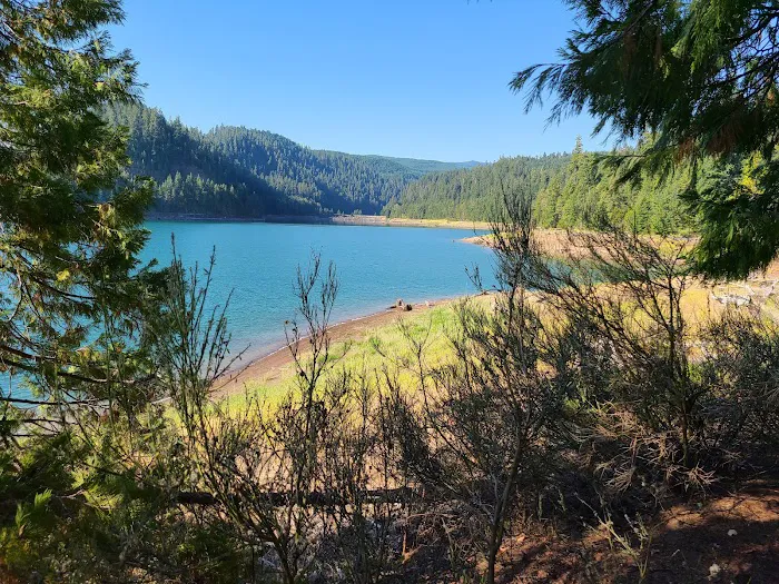 Packard Creek Campground Picture 4