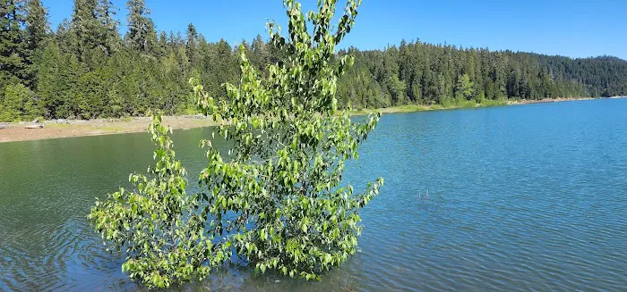 Packard Creek Campground Picture 8