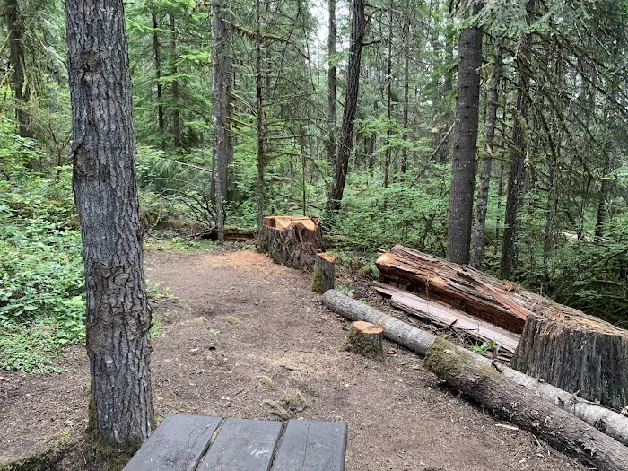 Packard Creek Campground Picture 6