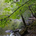 Rock Creek Recreation Site