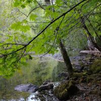 Rock Creek Recreation Site ico