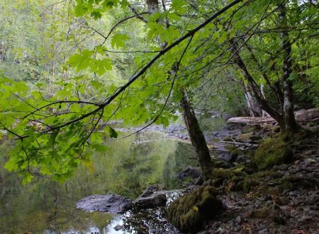 Rock Creek Recreation Site