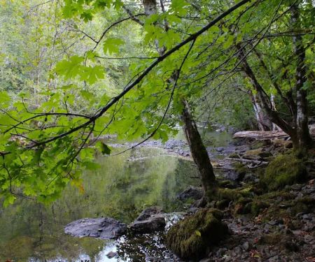 Rock Creek Recreation Site