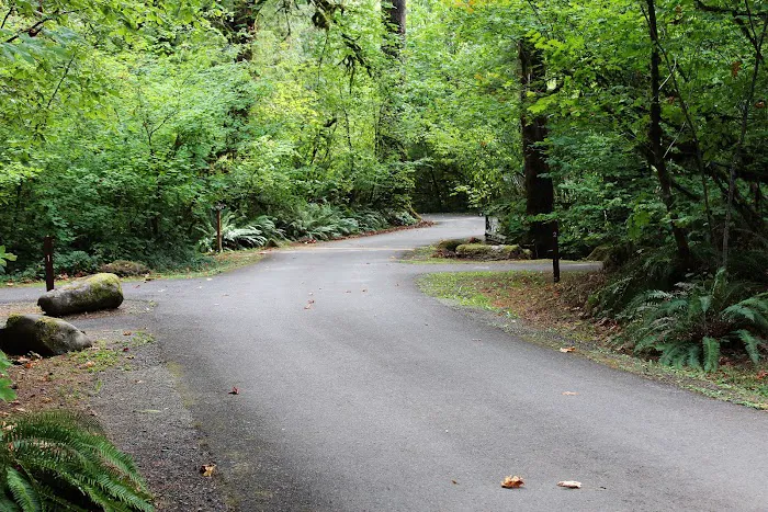 Rock Creek Recreation Site Picture 6