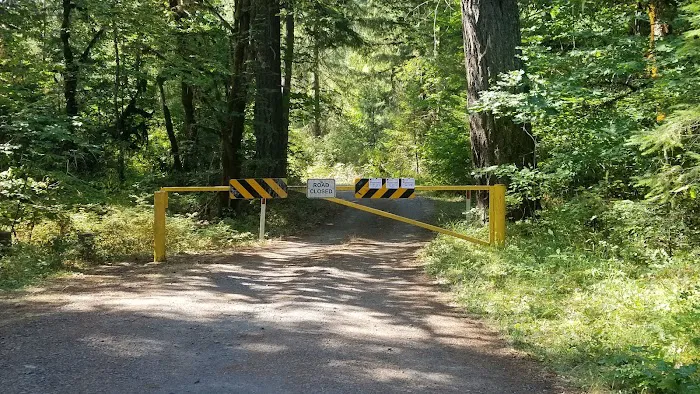 Secret Campground Picture 2