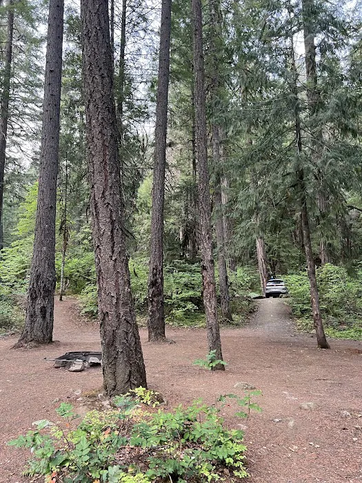 Scaredman Recreation Site Picture 1