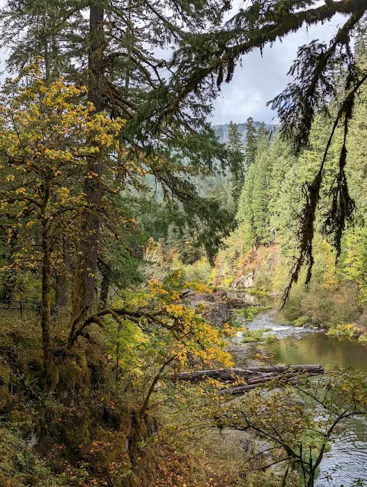 Steamboat Falls Campground Picture 6