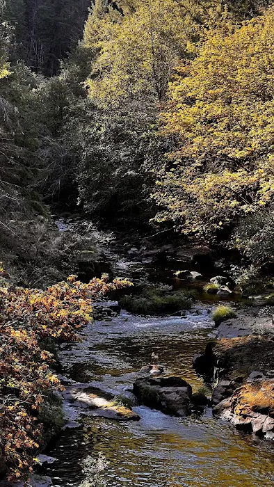 Canton Creek Campground Picture 9