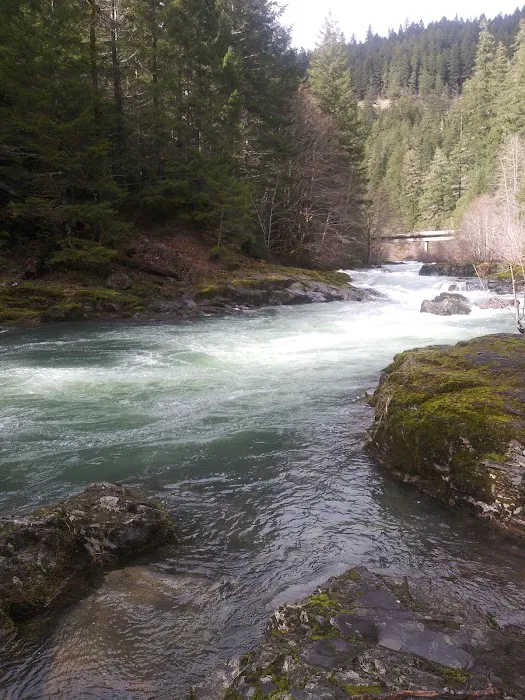 Canton Creek Campground Picture 4
