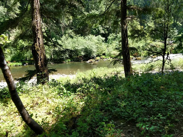 Canton Creek Campground Picture 2
