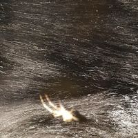 Canton Creek Campground ico
