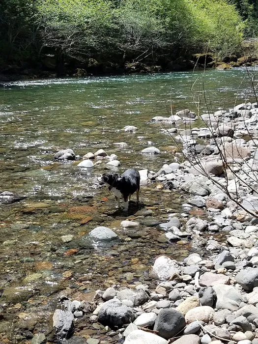Canton Creek Campground Picture 10