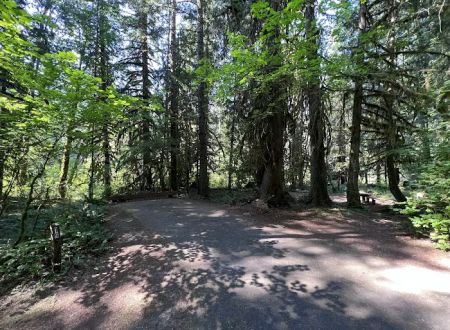 Blue Pool Campground