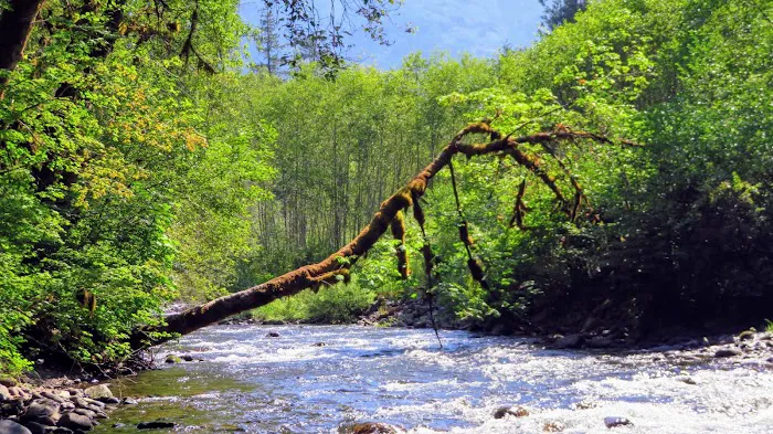 Blue Pool Campground Picture 7