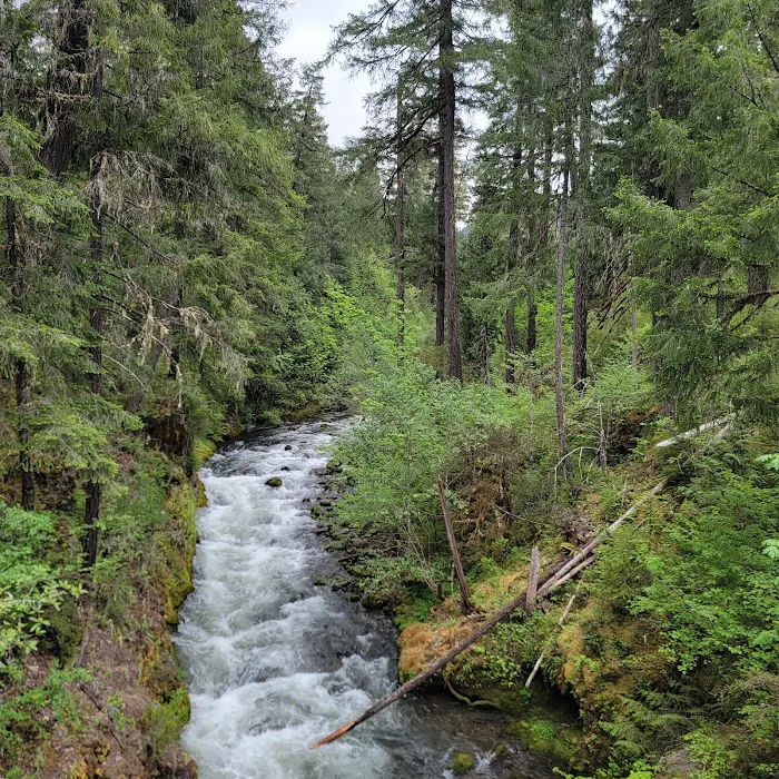 Blue Pool Campground Picture 5