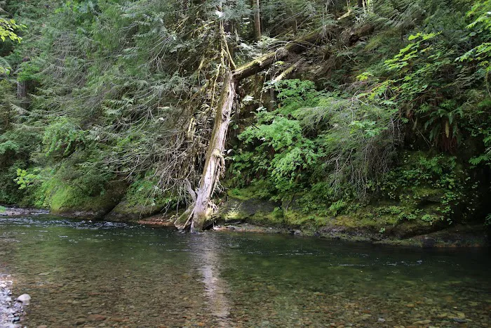 Blue Pool Campground Picture 6