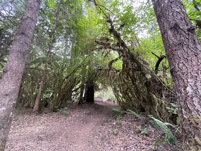 Blue Pool Campground Picture 10