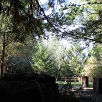 Tyee Campground (Umpqua River) ico