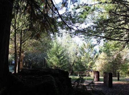 Tyee Campground (Umpqua River)