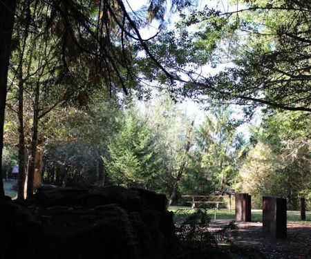 Tyee Campground (Umpqua River)