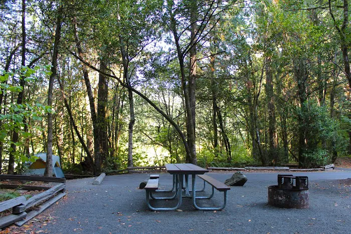 Tyee Campground (Umpqua River) Picture 6