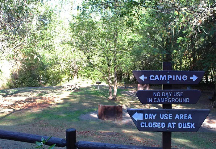 Tyee Campground (Umpqua River) Picture 9