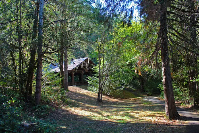 Tyee Campground (Umpqua River) Picture 7