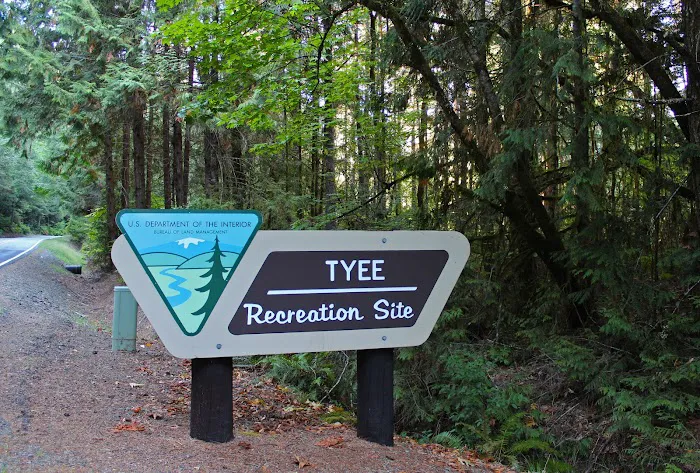 Tyee Campground (Umpqua River) Picture 8