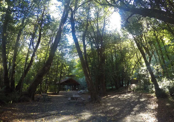 Eagleview Group Campground Picture 4