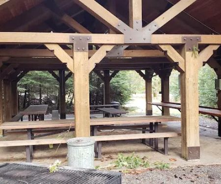 Lone Pine Group Campground (Reservation)