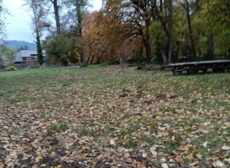 Elk Island Trading Group, LLC