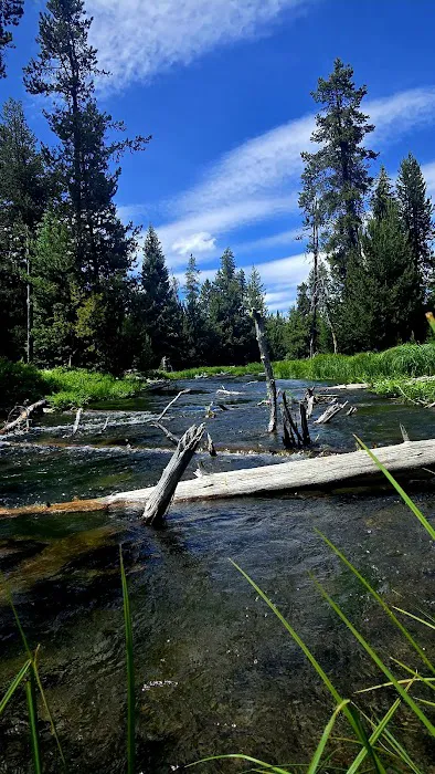 Lava Lake Resort Picture 10