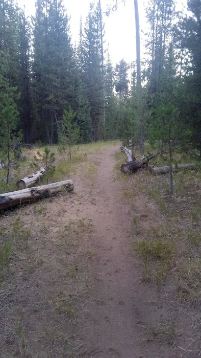 Little Lava Lake Campground and Boat Ramp Picture 9