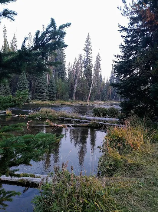 Cultus Corral Horse Camp Picture 1