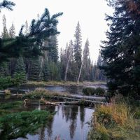 Cultus Corral Horse Camp ico