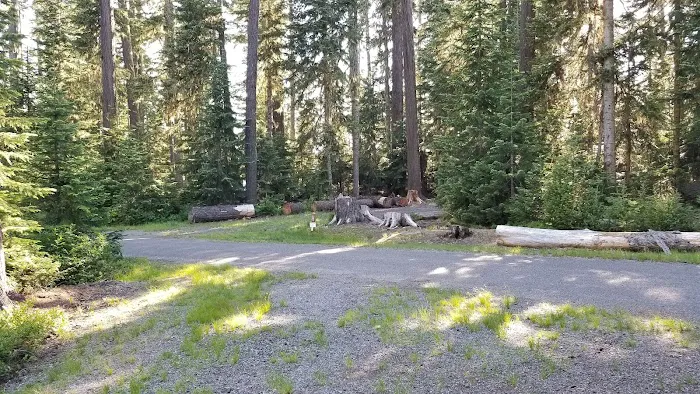Waldo Lake Shadow Bay Willamette NF Picture 9