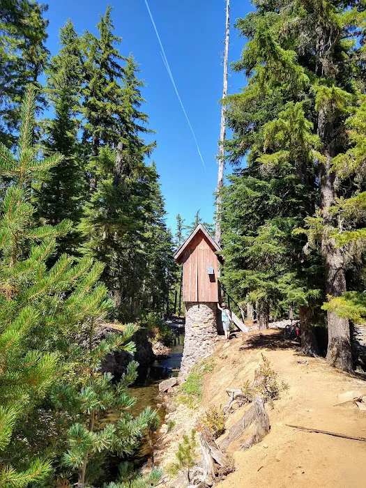 Waldo Lake Shadow Bay Willamette NF Picture 3