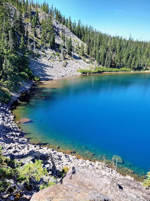 Waldo Lake Shadow Bay Willamette NF Picture 2