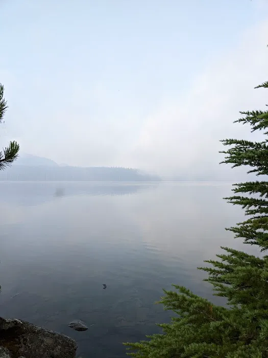 Waldo Lake Shadow Bay Willamette NF Picture 10