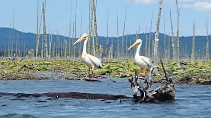 Quinn River Boating Site Picture 4