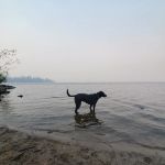 Rock Creek Campground