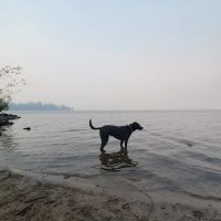 Rock Creek Campground ico