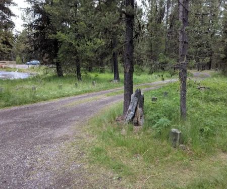 Cow Meadow Campground